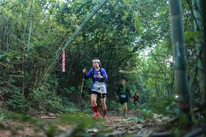 BIB: 
                            <button type="button" onclick="openModal(28025651)" class="btn btn-primary btn-sm float-right btn-popup" data-toggle="modal" data-target=".modal-high-quality">
                        <i class="fas fa-shopping-cart"></i> Add to Cart
                    </button>
                                            <button type="button" onclick="isThisMe(28025651, true)" class="btn btn-success btn-sm float-right btn-popup btn-isme hidden" data-toggle="tooltip" data-placement="bottom" title="นี่คือรูปของคุณใช่ไหม คลิกที่นี่เพื่อเอาเข้าอัลบั้ม">
                        <i class="fas fa-plus"></i> Add to album
                    </button>
                    <button type="button" onclick="isThisMe(28025651, false)" class="btn btn-warning btn-sm float-right btn-popup btn-isnotme hidden">
                        <i class="fas fa-ban"></i> Remove from album
                    </button>